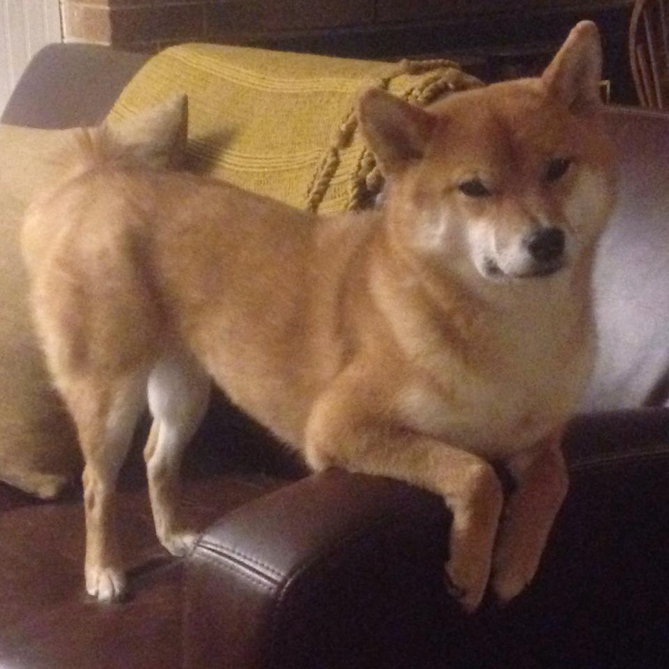 九游网页版官网入口-_国内青少年网球联赛：培养未来冠军的摇篮_，中国青少年网球