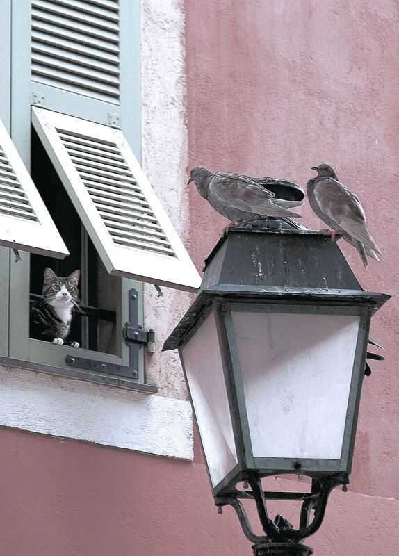 九游下载官网-_自行车文化节：骑行中发现城市的另一面_，骑行发现城市之美