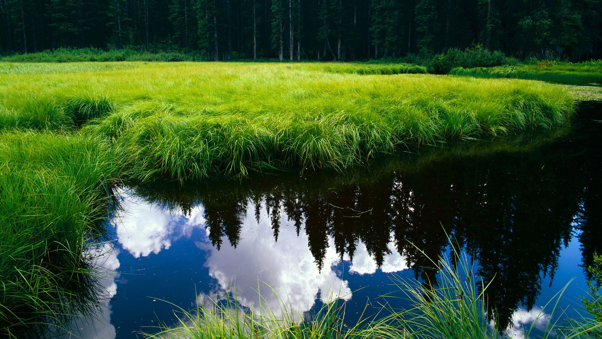 “青少年足球联赛火热进行,激发青年的运动热情”,青少年足球邀请赛