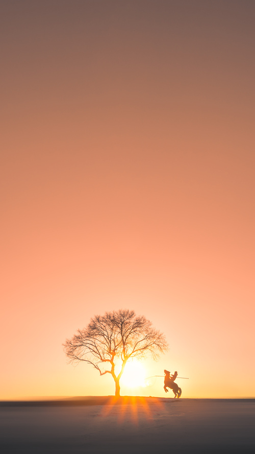 九游游戏中心-《Dota 2传奇团队再次归来，夺冠大势明显》，dota2传奇选手 第一期