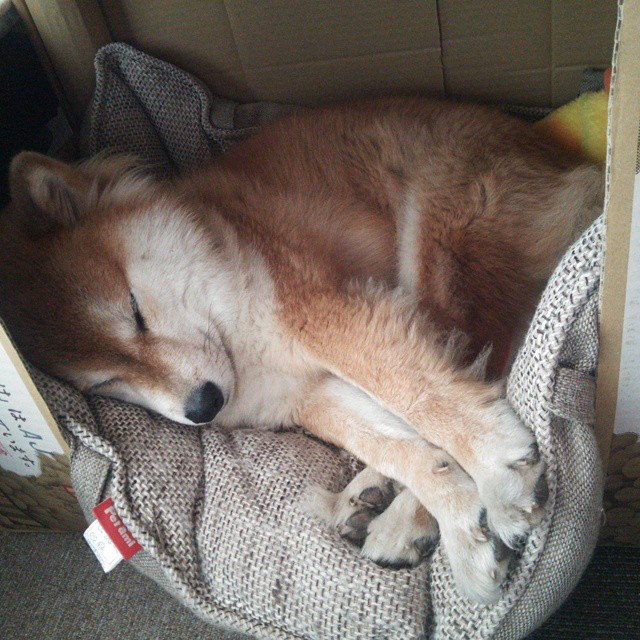 《2025英雄联盟全球总决赛,亮点集锦全景回顾》,2020英雄联盟全球总决赛百度百科