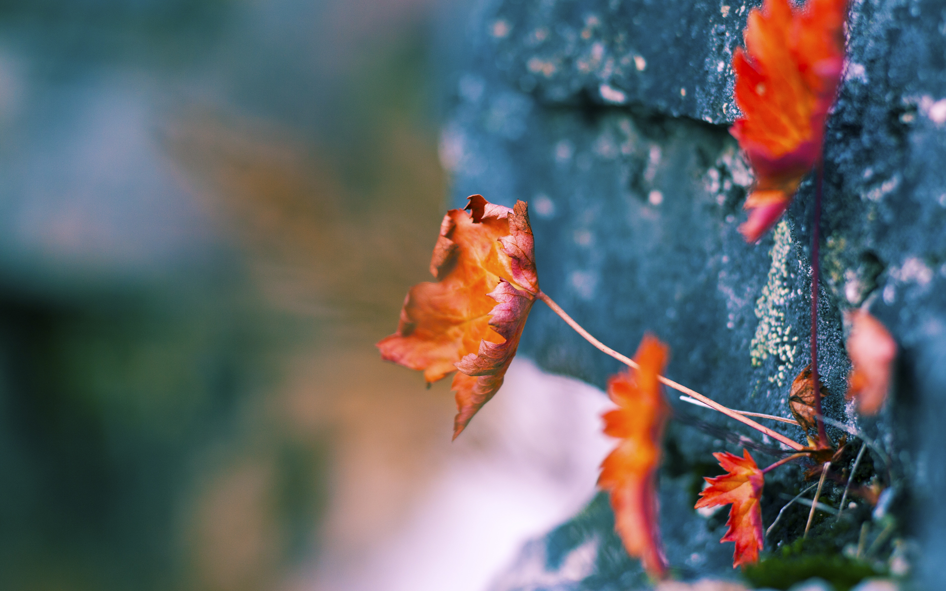 九游娱乐官网 (jiuyou)-《全球电竞市场TOP10地区分析：谁是行业领头羊？》，全球电竞公司排名