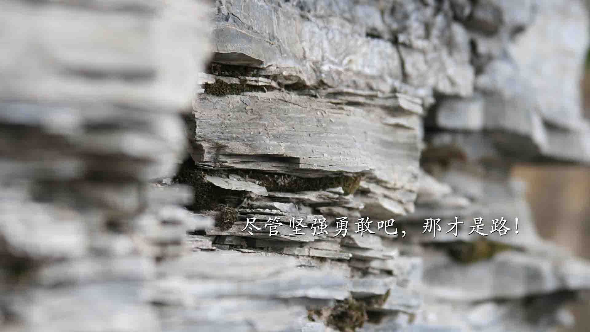 九游网-【规则解读】历史上著名误判事件，背后隐藏的规则争议，法律误判的大案