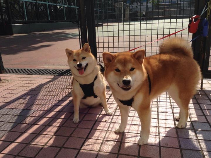 亚洲足球合作交流持续深化，中国青训水平不断迈入新台阶，中国足球 亚洲