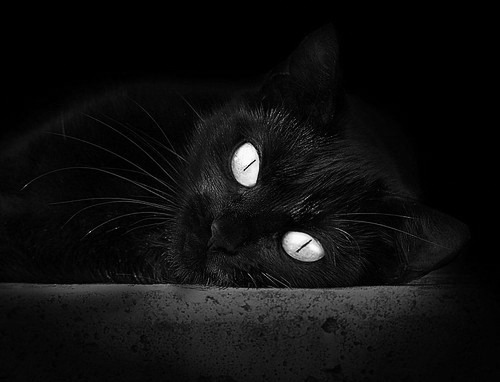 区块链让交易透明公正，联盟迈向新纪元，区块链透明吗