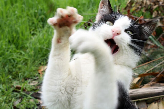 九游sports-城市夜色极限滑板：点亮夜晚的速度与激情