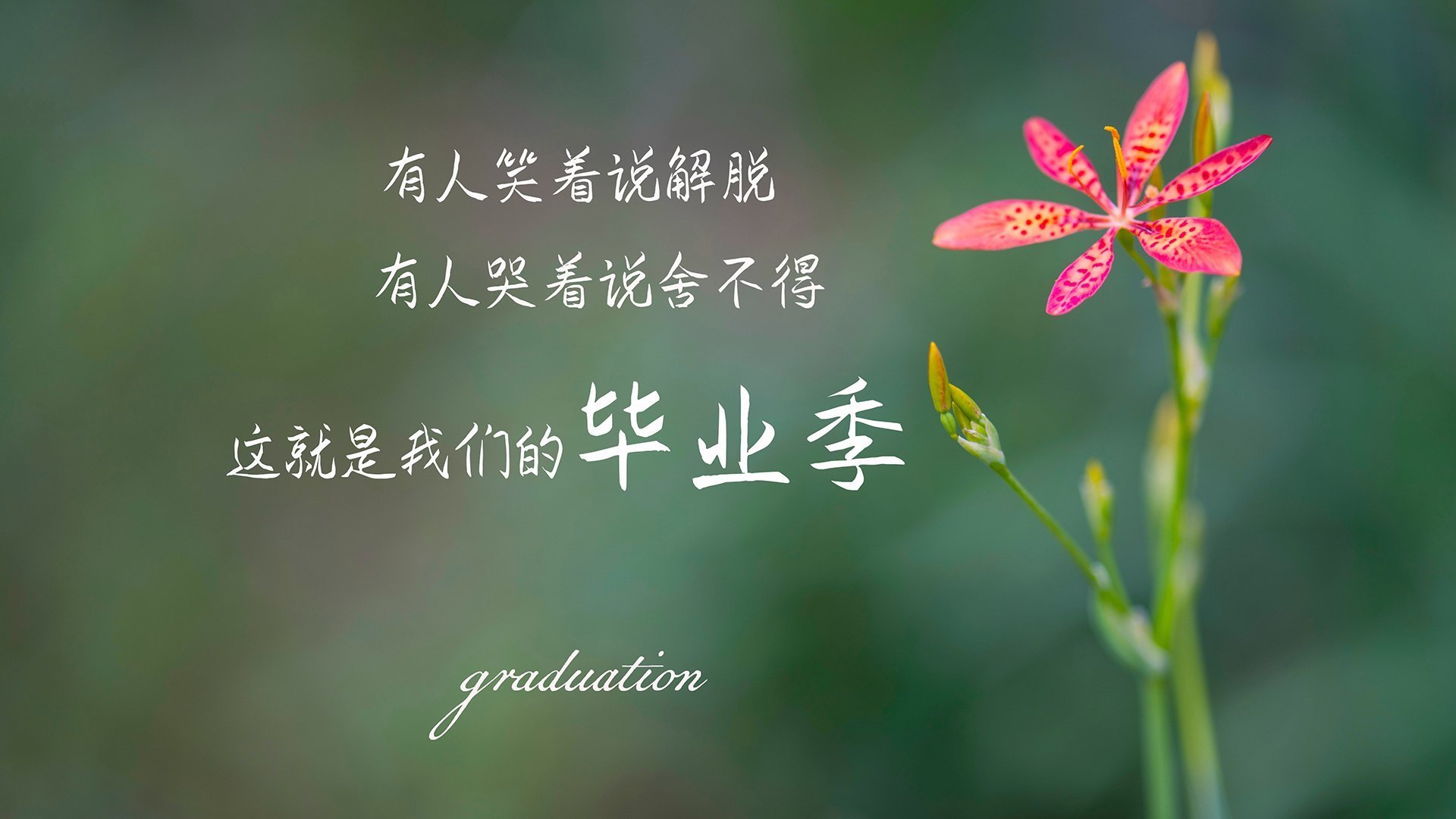 新一代冲刺冠军:青年运动员崭露头角