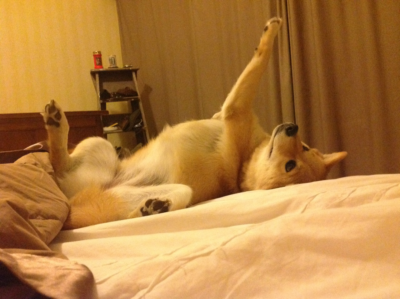 JIU YOU GAME-王者荣耀 经典对决重现赛场，王者荣耀总决赛重开