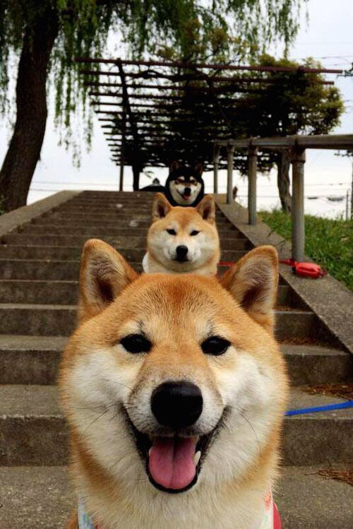 九游下载中心-巴黎圣日耳曼引进新门将，实力再升级，巴黎圣日耳曼阵容总身价