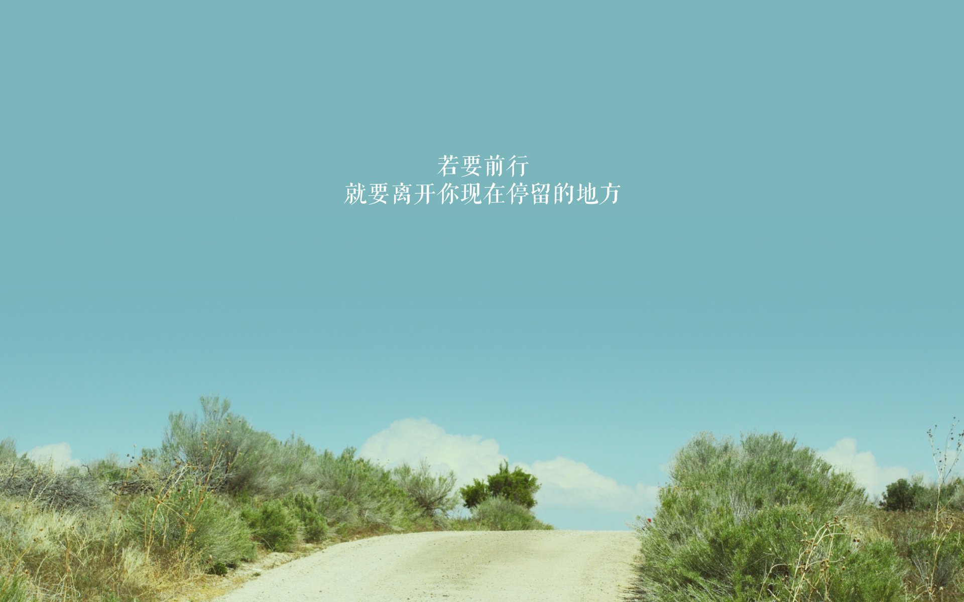 沙尔克主场平局,德甲保级形势略显稳定,德甲沙尔克对门兴直播