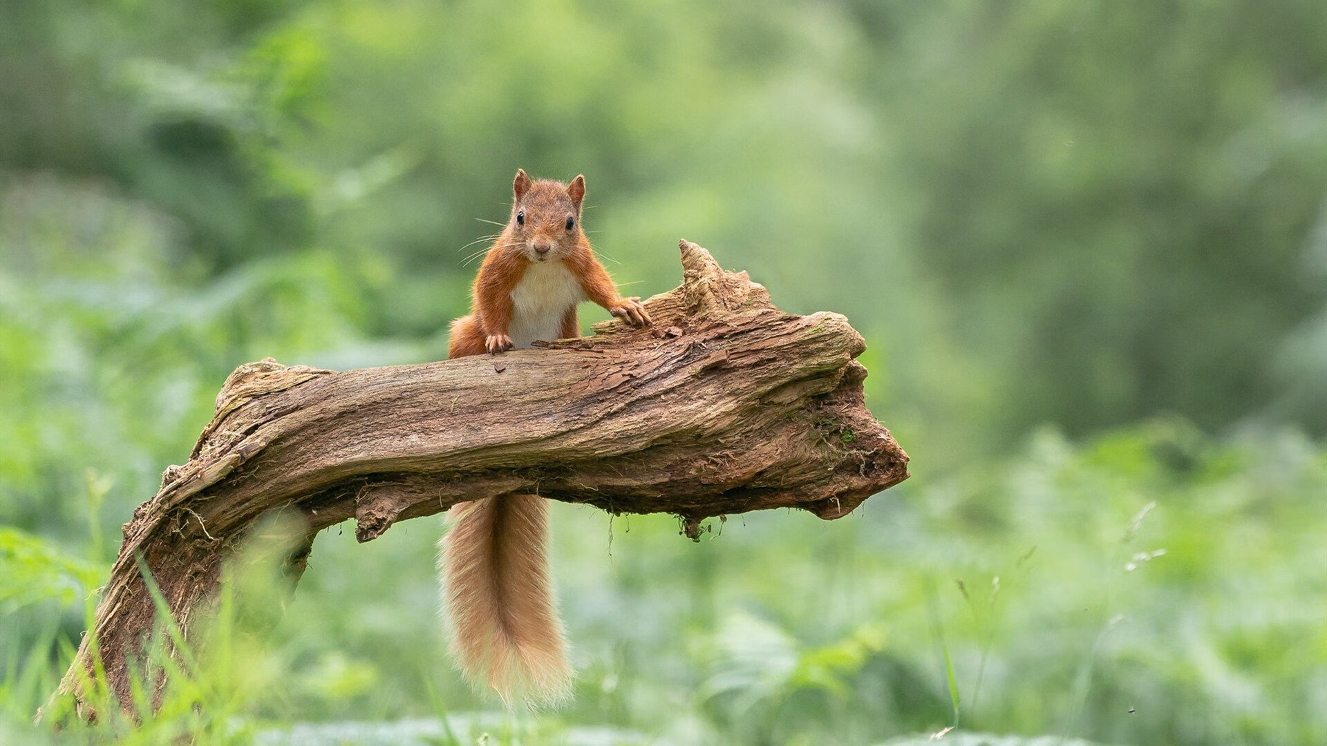 九游网游官网-石油人战术调整见成效，石油战线上著名的“铁人”是()
