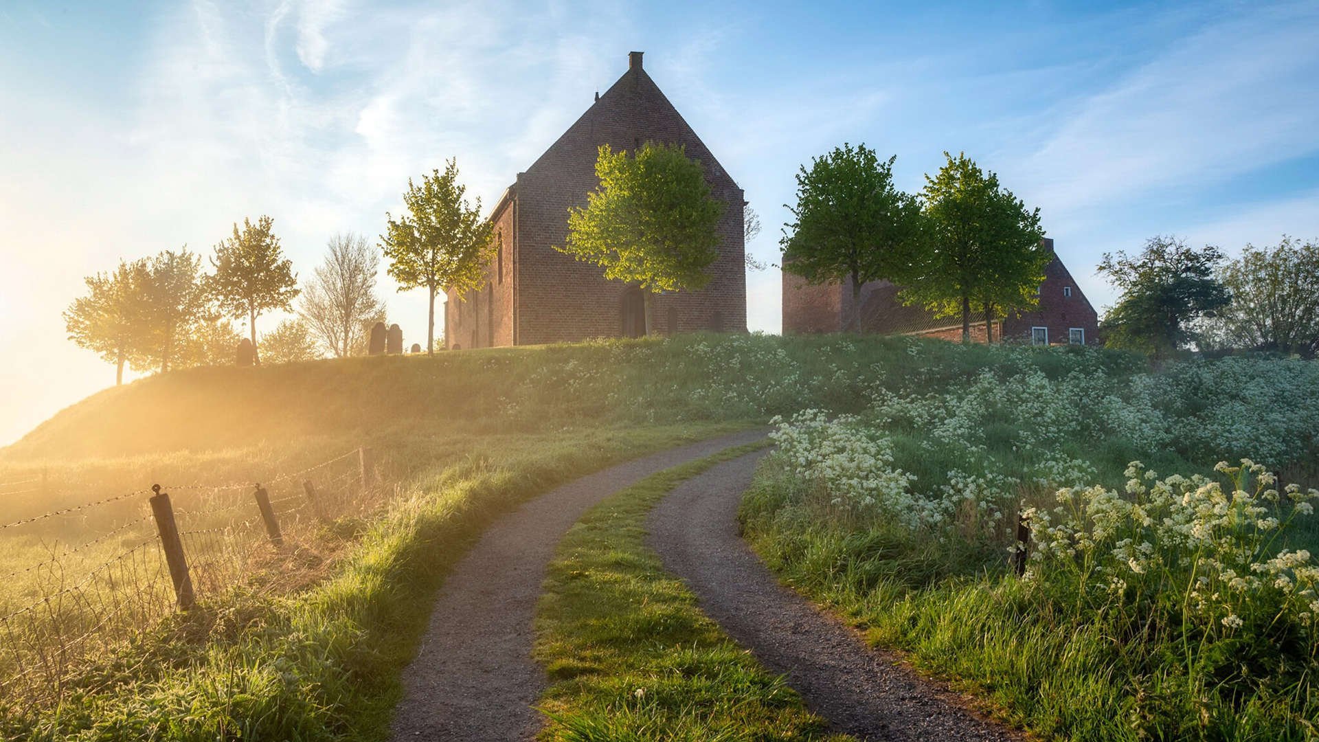 纽卡斯尔2-1富勒姆，主场取胜，纽卡斯尔联引援