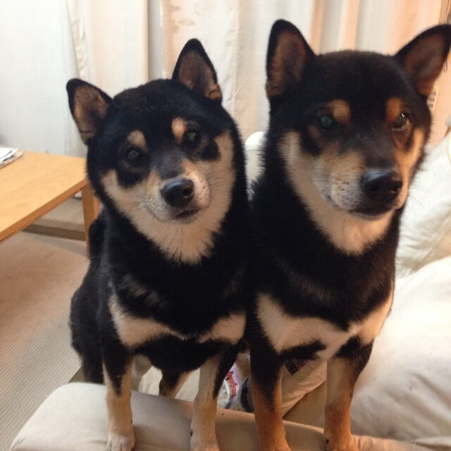 JIUYOU.COM-阿尔阿赫利球员健康状况良好，阿尔·赫尔德