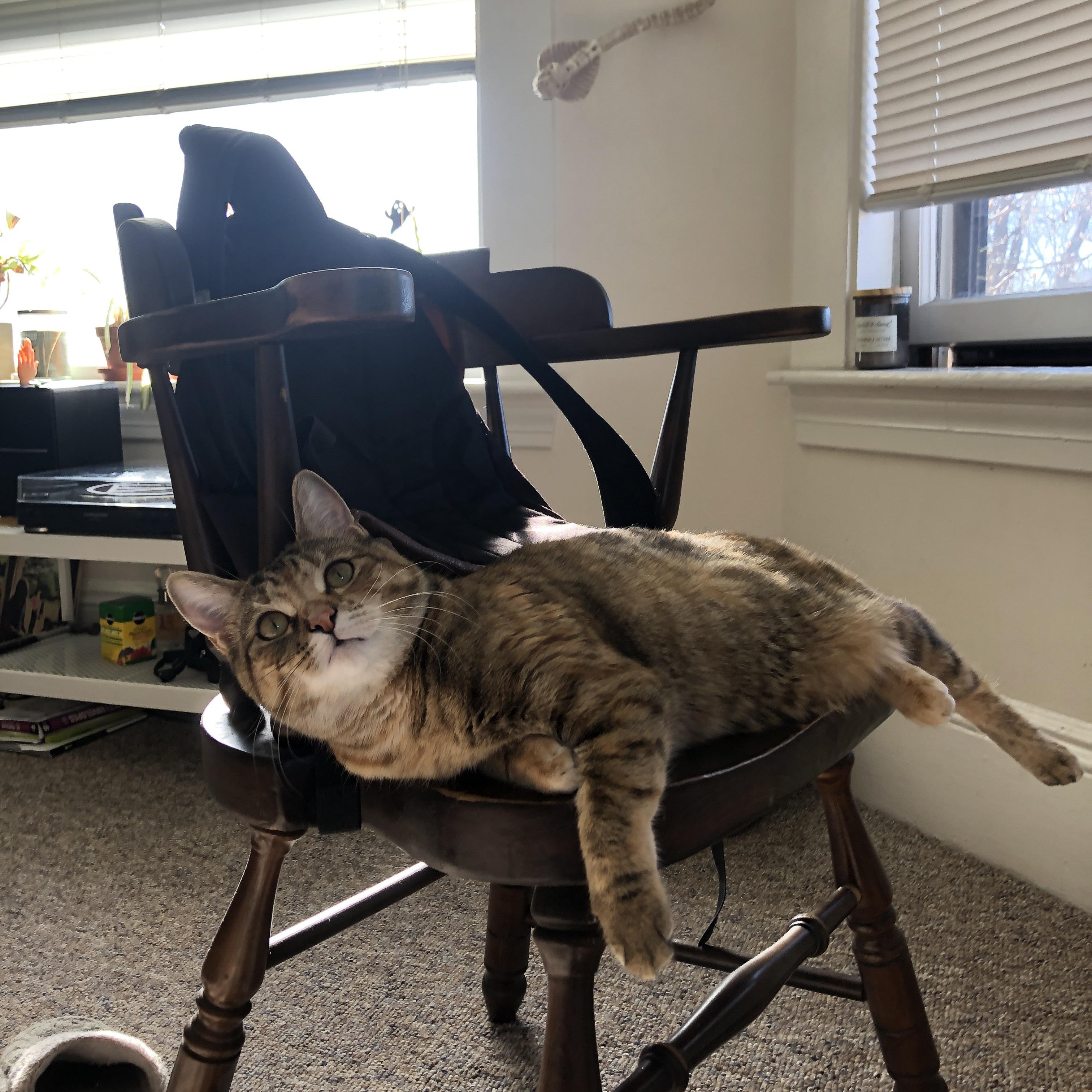 NBA球员技能提升训练,nba球员技能提升训练视频