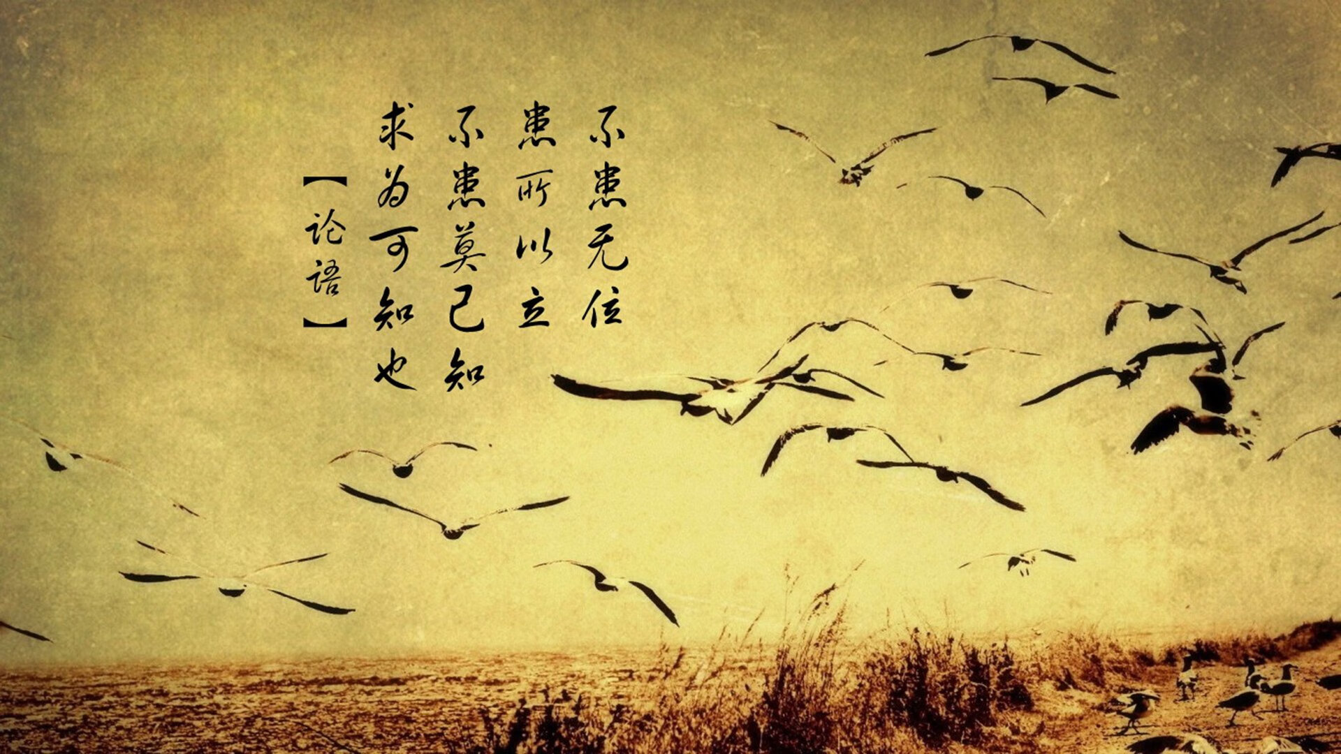 九游娱乐-中超联赛边路推进成功率统计，2021赛季中超联赛规则