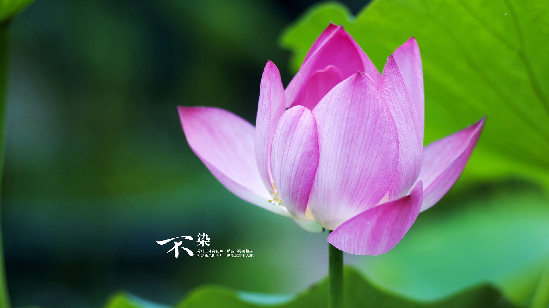 国足定位球配合成功率趋势对比,足球定位器