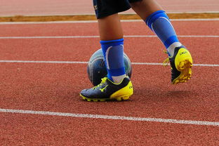 九游（jiuyou.com）游戏-意甲年轻球员防守意识发展趋势研究，意甲年轻后卫