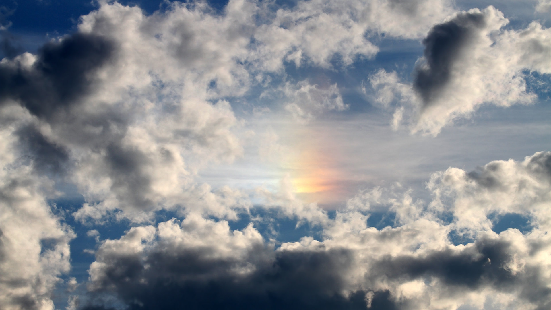 高校篮球人才培养模式创新研究,高校篮球训练理念以及训练方法研究