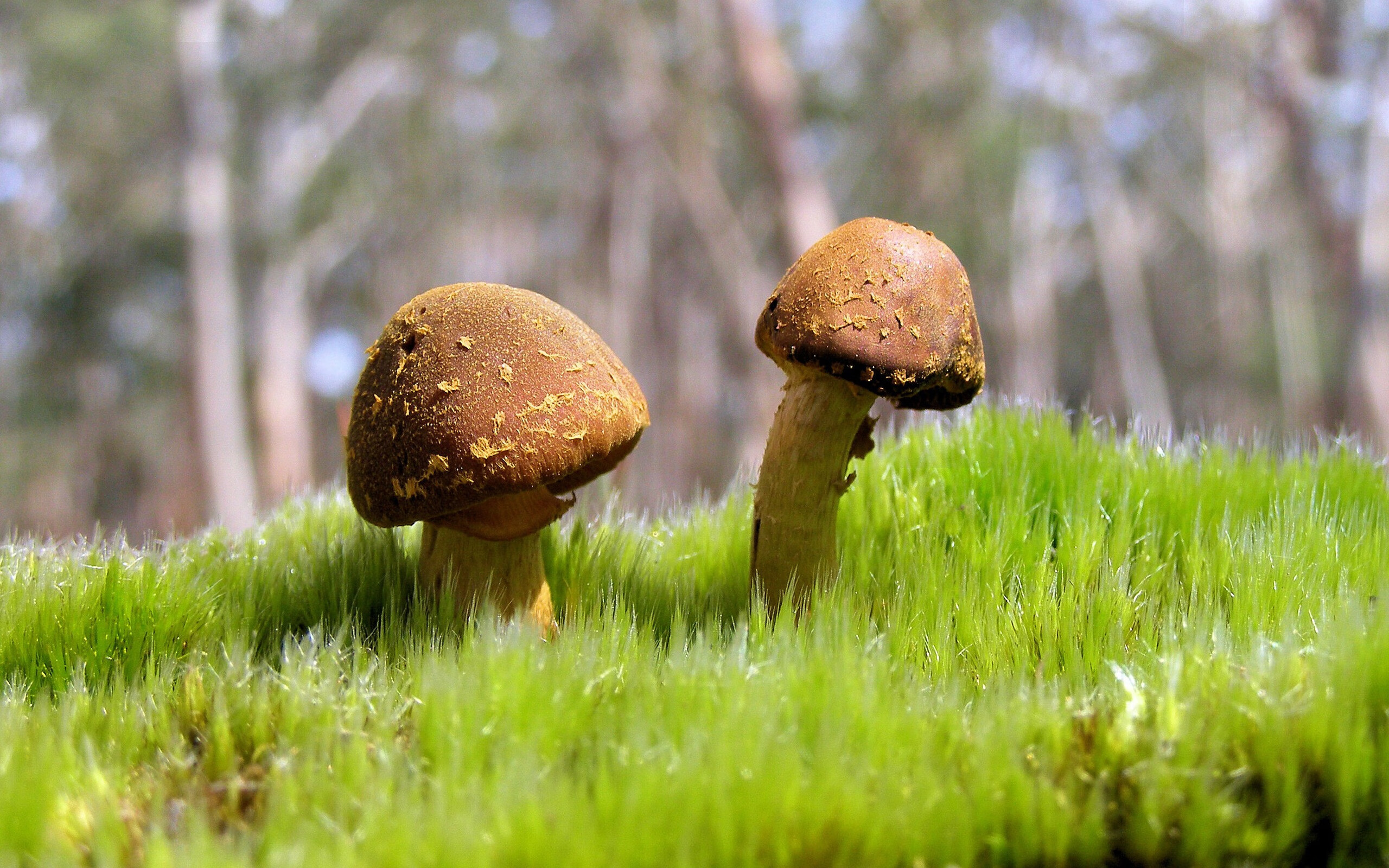 中国青年队爆冷世界杯 精彩瞬间令人难忘,中国足球世青队