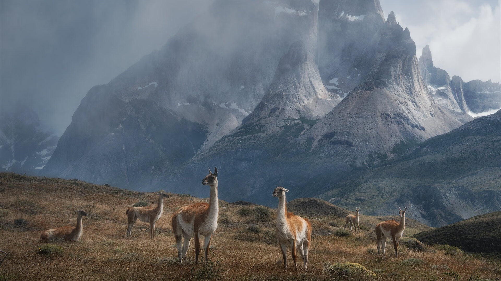 乌拉圭女篮在南美锦标赛中表现优异,迈向新的历史高峰,乌拉圭女子篮球