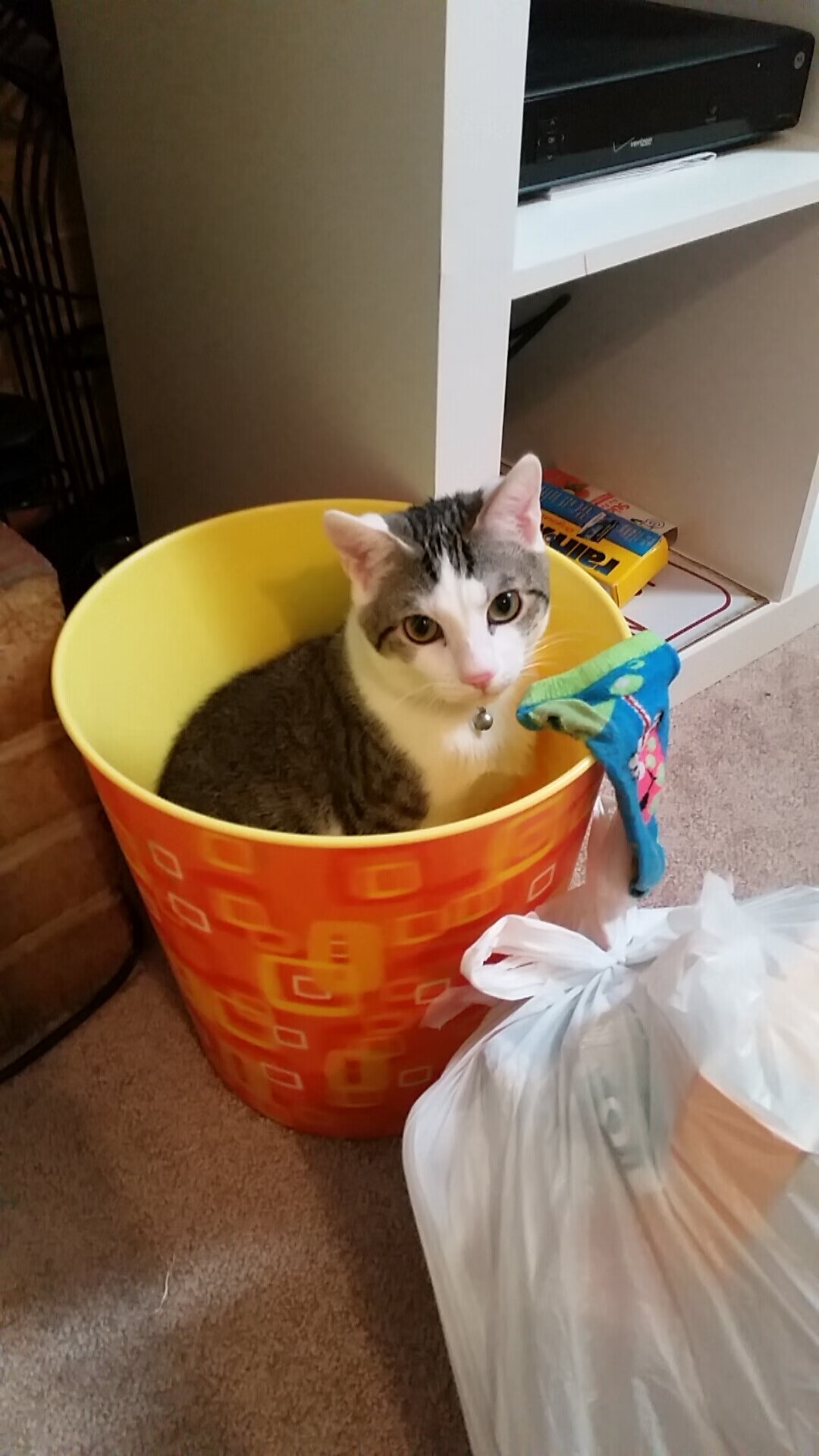 法国新星崭露头角,未来潜力巨大