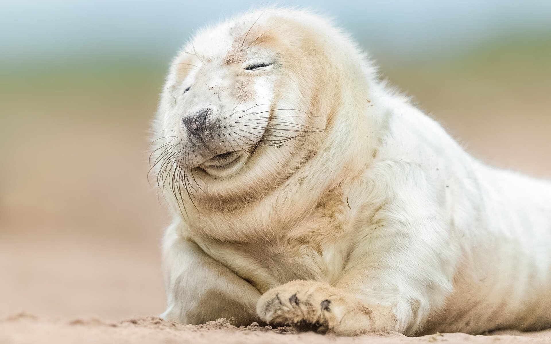 九游-科尔博冲线瞬间引爆现场气氛，科博尔铸造有限公司