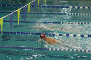 九游下载app-全国公开水域游泳赛长江赛段人气爆棚