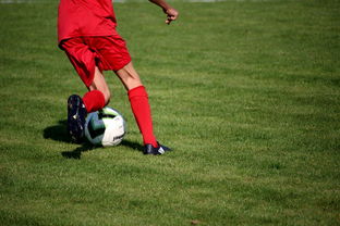 九游入口-篮球运动员心理韧性培养及心理干预体系建设，篮球运动员心理素质的重要性